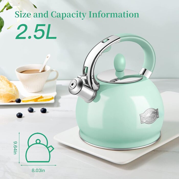 Чайник для плити RETTBERG, Induktion, 2.6 л, Ретро, з нержавіючої сталі, Cool-Touch ручка, кремовий (М'ятно-зелений)