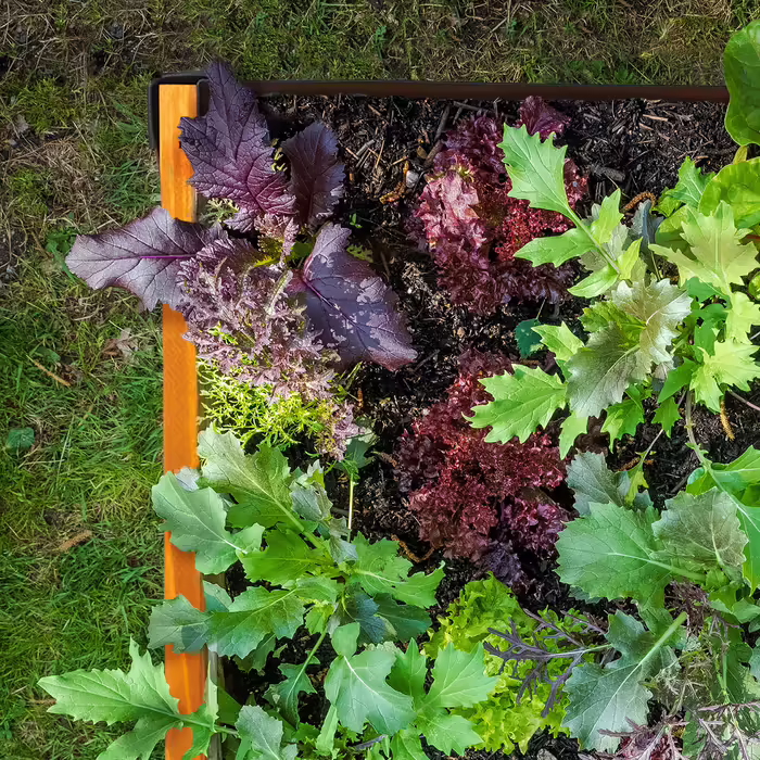 Relaxdays Wooden Raised Garden Bed, Narrow
