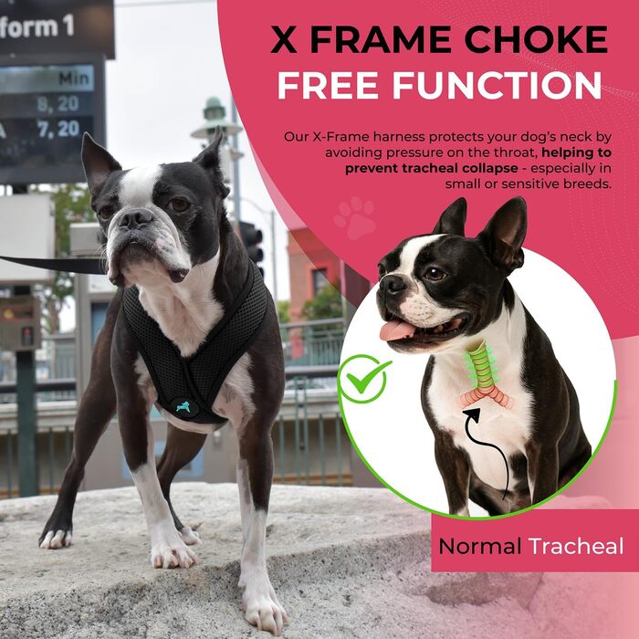 Нашийник для собак Gooby Comfort X для прогулянок та дому, чорний, розмір M, захист від задушення, для собак малих та середніх порід