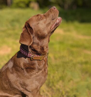 FairPaw Dog Collar Wide Paracord - Sustainable & Handmade - Wide Dog Collar for Large Dogs - Braided Dog Collars - Adjustable Dog Collar, For Medium & Large Dogs, Red S