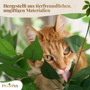 Дерево для котів з листям – Стабільний та компактний – 4 поверхні для дряпання та 3 стовпчики – Ідеально для лазіння, ховання та сну – Легка збірка – Безпечний та довговічний cat tree з натуральних матеріалів