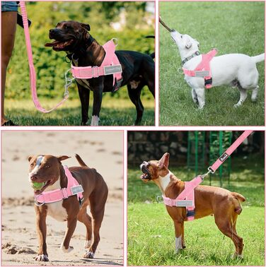 Нашийник для собак Eyein: м'який, з 2 застібками, світловідбиваючий, для великих та середніх собак, рожевий (L)