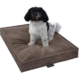 MyBestBuddy Visco Dog Bed M with POSO-Cord fabric, featuring Visco foam and comfort foam flakes, washable at 40°C - Dog bed/pet bed for small dogs, 70 x 50 cm (70x50 cm, Brown)