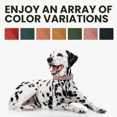 Нашийник для собак Bronzodog з шкіри, з QR-ID міткою, регульований, м'який, для малих, середніх та великих собак, цуценят, котів (28-36 см), (Denim, 35-41 см)