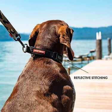 Нашийник для собак EzyDog Checkmate – нашийник-стоп для дресирування. Регульований нашийник для великих, середніх та маленьких собак (S, Чорний)