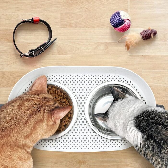 Підвищені годівниці для собак та котів All for Paws, з нержавіючої сталі, регульовані по висоті, антибактеріальні, для домашніх тварин, маленькі