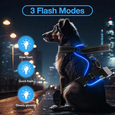Світловідбиваючий нашийник для собак Masbrill з LED-підсвічуванням, регульований, з ручкою, м'який, для малих, середніх та великих собак (Синій L), Чорно-синій, TC3005B L Чорно-синій
