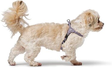 Нашийник для собак HUNTER SOHO MINI, чорний, з натуральної шкіри, м'який, не травмує шерсть, легкий, для маленьких собак та цуценят, Made in Germany, розмір XS