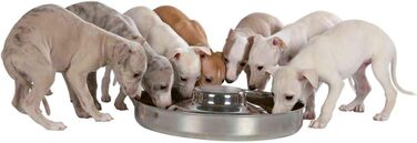 Миска для цуценят Trixie, нержавіюча сталь, 4 л, діаметр 29 см