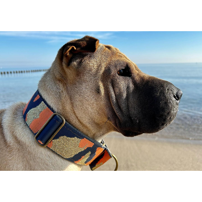 Нашийник для собак Martingale з м'якою підкладкою, 5 см, тренувальний, регульований (до 52 см обхват шиї, 58 см обхват голови), стопор 6 см, сталеві деталі