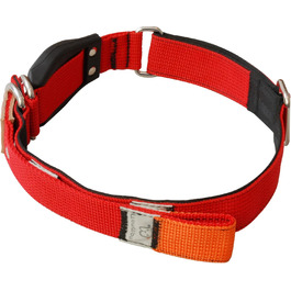 WowWow Professional Dog Collar with Leash - Size 37-46 cm, 195g, lightweight, innovative collar with integrated leash - known from 'The Lion's Den' (S, Red)