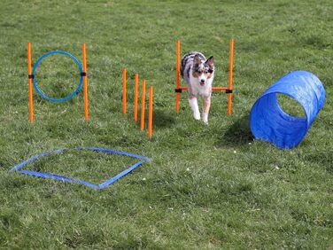 Набір для аджиліті для собак маленьких та середніх порід | Набір для дресирування собак з бар'єрами, тунелем та кільцем для стрибків | Початковий набір для собачого спорту