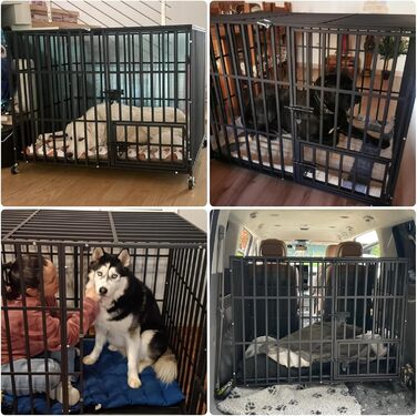 Кіяж для собак BingoPaw XXXL: міцна переносна клітка-вольєр з перегородкою, 2 дверцятами та піддоном, для великих та середніх собак, 130x100x100 см