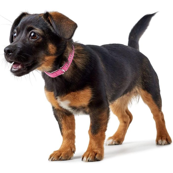 Нашийник для собак HUNTER MODERN ART LUXUS, штучна шкіра, стрази, розмір 37 (XS-S), рожевий/білий