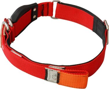 WowWow Professional Dog Collar with Leash - Size 37-46 cm, 195g, lightweight, innovative collar with integrated leash - known from 'The Lion's Den' (S, Red)