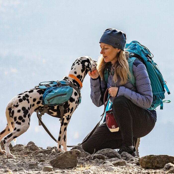 Kurgo Go Stuff-It - Фурнітура для ласощів для собак, 11 см, Червоний