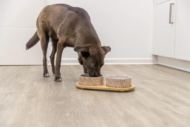 TRIXIE Ceramic & Bamboo Dog Bowl Set - 800ml, for Small & Medium Dogs, Dishwasher Safe, Durable