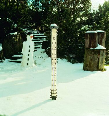 TFA Dostmann Jumbo Analog Garden Thermometer, 12.2002, with Ground Spike, black