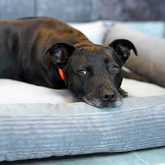 4L Textil М'яке ліжко-гніздечко для котів та собак, гніздо-лежанка, кошик для котів, лежанка для собак, для цуценят, сірий (60x40 см), 60 x 40 x 15 см