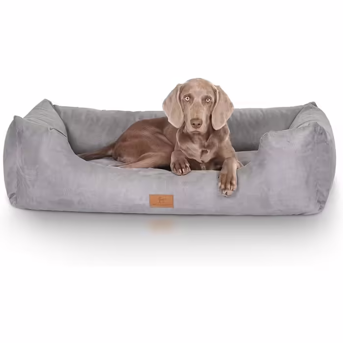 Knuffelwuff Dog Bed Dreamline in Velour XXL 120 x 85cm - Removable cover - Easy to clean - For large, medium and small dogs (Grey, L 155 x W 105 x H 30 cm)