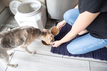 Контейнер для зберігання корму Gamma2 Vittles Vault - герметичний, до 13.6 кг, для собак, котів, птахів, BPA-free