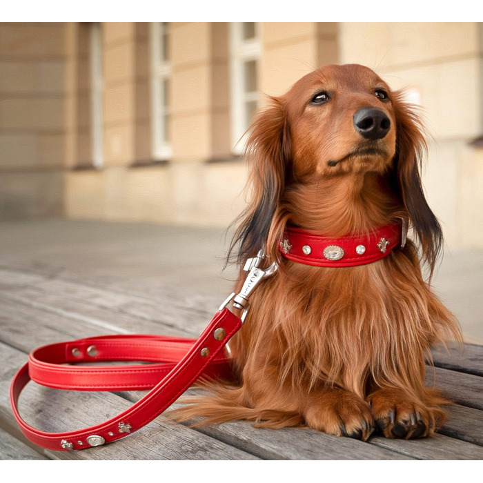 Julieta Leine, leather dog leash, leather lead for dogs, MATCHES Julieta collar, Red, leather, with lilies, rhinestones, and a large crystal