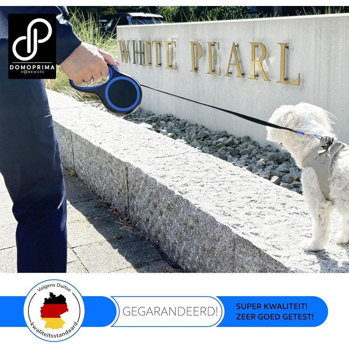 Нашийник для собак DOMOPRIMA: міцний, безпечний, 3 розміри (S, M), 4 кольори (сірий, блакитний, зелений, рожевий)