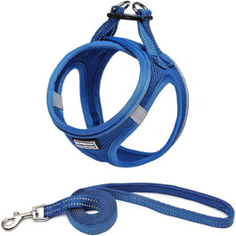 колір: лапіс блау