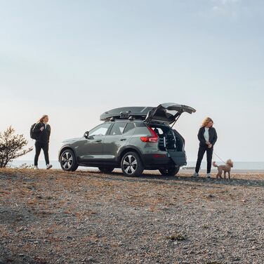 Трейлер для собак Thule Allax Hundebox Black/Aluminum XL Compact - переноска для собак в авто