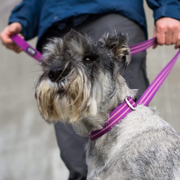 Нашийник для собак DOG Copenhagen Urban Style Classic Red, розмір L (Червоний)