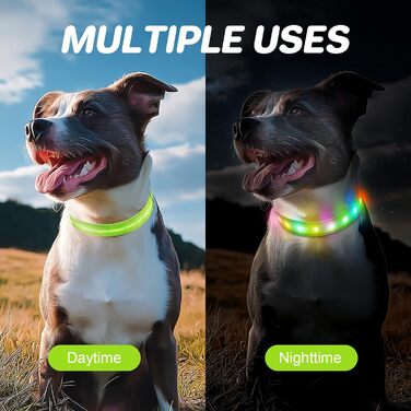 Світлодіодна нашийник для собак Feycig з USB-зарядкою - водонепроникний, регульований, 3 режими, для малих, середніх та великих собак (світло-зелений, M(38-50см))