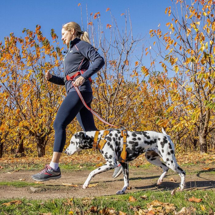 Шлейка для собак Kurgo Journey Air, зручна та безпечна для прогулянок та бігу, з ручкою для контролю, відбивачі, посилена, середній розмір (Orange/Sunset Chevron)