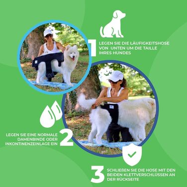 Incontinence pants for female dogs / Incontinence pants for male dogs / Dog protection pants made of high-quality, perforated neoprene, black, XS, (manufacturer size 1)
