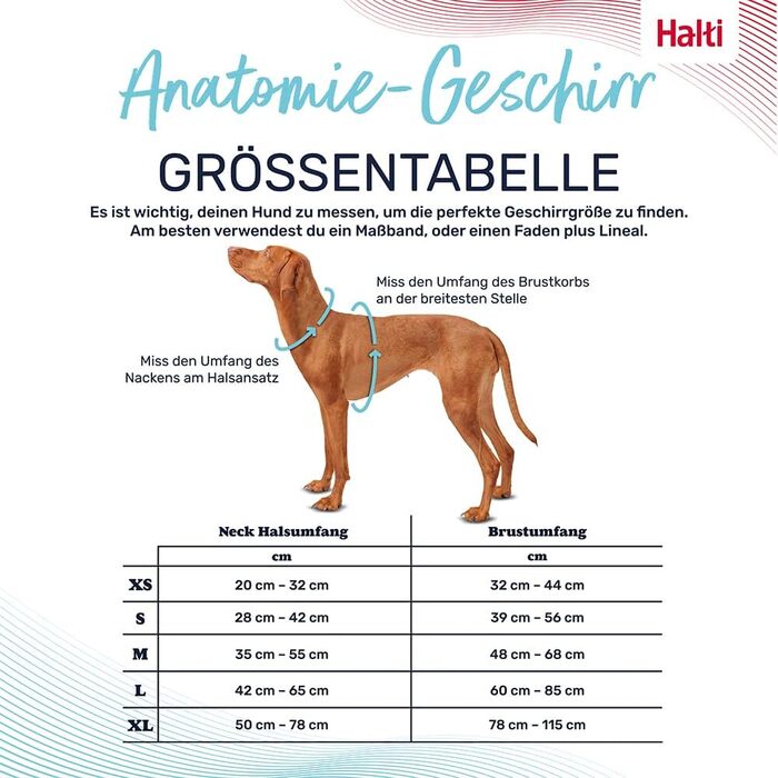 HATI Anatomy Dog Harness with Handle – Freedom of Movement for Your Dog. 3 Connection Points, Neoprene Padding, Adjustable and Reflective (Size Construction Green) (Green, L)