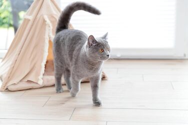 Тipi для собак та котів Trixie Boho з антиковзким покриттям, бежевий (55x65x55 см) - з подушкою