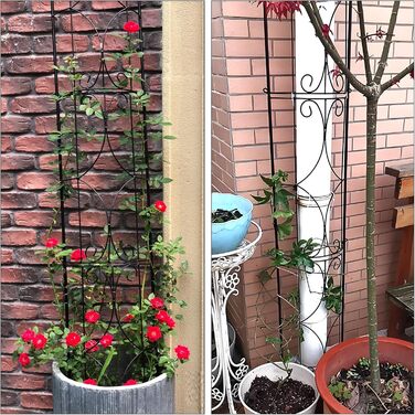 Thealyn Rankgitter Garten 2 Pack 182cm H x 31cm W Metal Plant Trellis Indoor/Outdoor Metal Garden Trellis Plant Grid for Potted Plants Climbing Plants (Black)