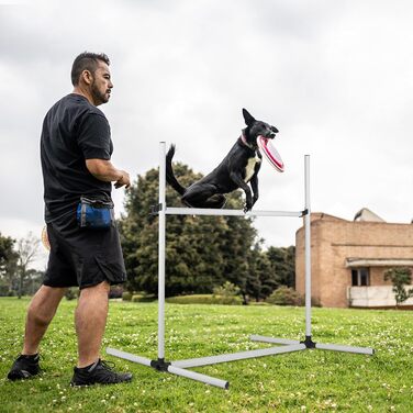 Набір для аджиліті для собак 4-TLG, комплект для тренувань собак, регульована висота, з сумкою, PVC, білий