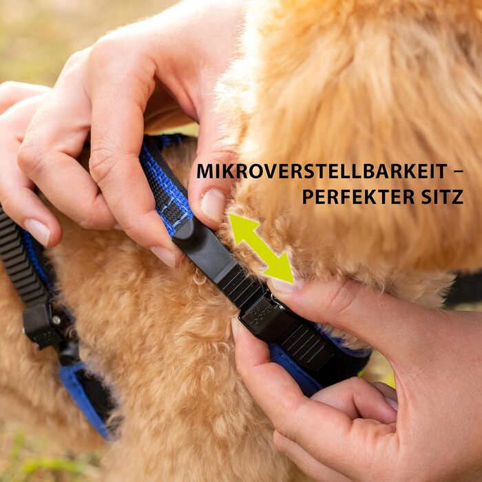 Нашийник для собак середнього розміру Ferplast ERGOCOMFORT, регульований, з м'якою підкладкою, подвійний мікрорегулятор, швидка застібка, сріблястий (блакитний), обхват шиї 64-74 см, обхват грудей 82-92 см