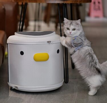 Рюкзак для тварин: переноска для собак та котів вагою до 15 кг