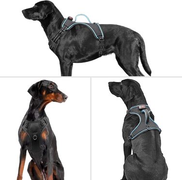 Нашийник для собак з екошкіри, перероблений, для великих і середніх собак, зелений (M, блакитний)