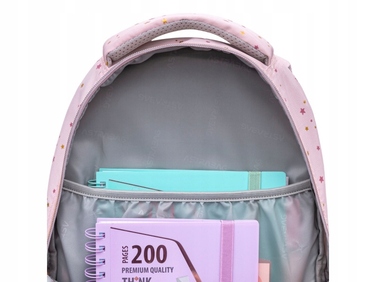 Багатокамерний шкільний рюкзак AstraBag, рожевий, 20 л