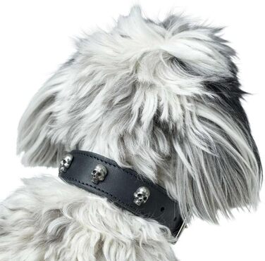 Нашийник для собак HUNTER Tijuana, чорний, з натуральної шкіри, ручної роботи, з декоративними черепами, розмір 55