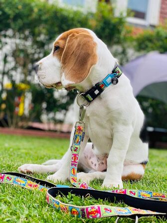 Нашийник для собак Max & Molly Gotcha! з Smart ID, водонепроникний, зручний, з коміксами, ширина 2.5 см