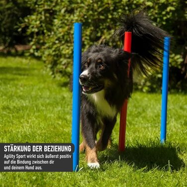 Набір для аджиліті NATIV LEMODO для собак | Тренування собак з бар'єрами та стрибковим кільцем | Легкий у транспортуванні аксесуар для аджиліті | Початковий набір у собачий спорт (з тунелем)