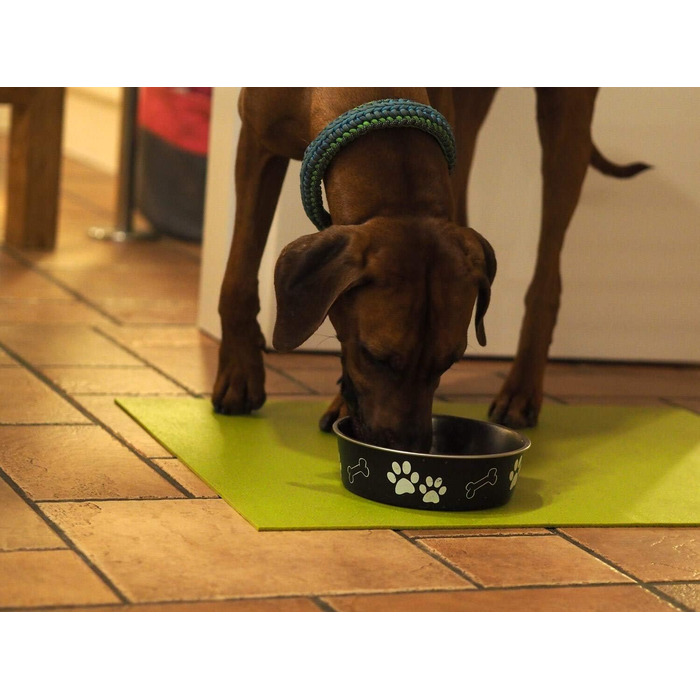 Підкладка під миску SanoZoo для котів (40x60 см, фіолетова) – екологічна, Made in Germany