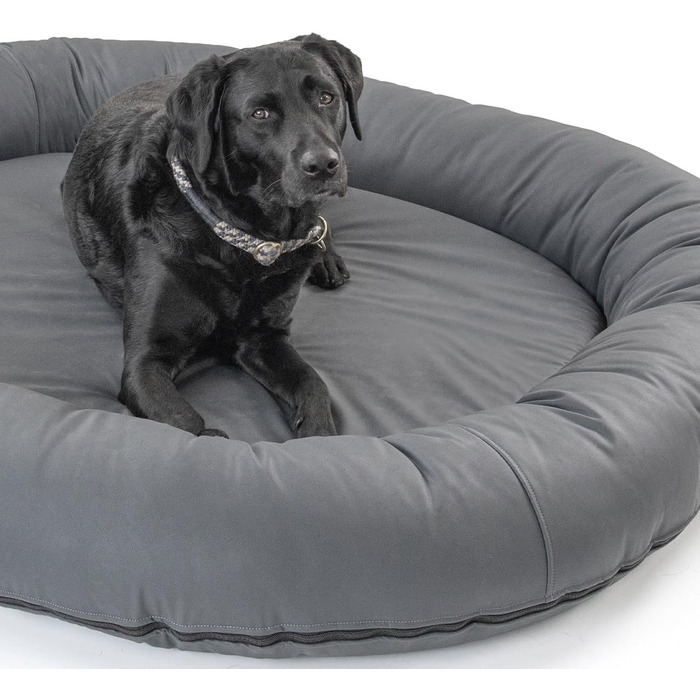 Wallace & Jones | Преміум собаче ліжко Болтон, диван для собак 63x50 см, штучна шкіра, для маленьких собак, прихований блискавка, миється, нековзне, темно-сірий 63 x 50 см, темно-сірий
