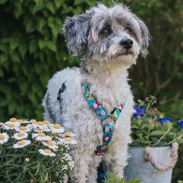 Нашийник для собак Max & Molly H-подібної форми, Ultrabequemes Geschirr Hund, Neopren, середній, Little Monsters/M, з підкладкою, безпечний, ультралегкий, комфортний для вашого вірного друга