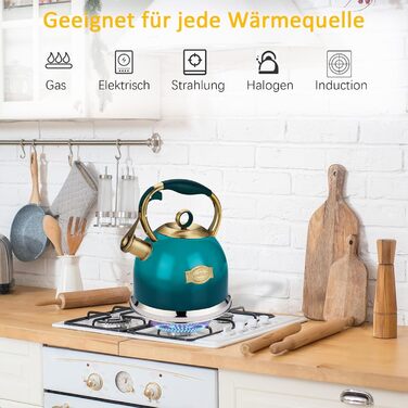 Чайник-свисток 3л з нержавіючої сталі з термостійкою ручкою, для індукційних плит (блакитний)