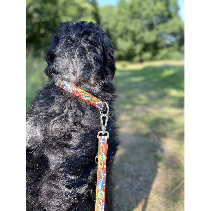 Нашийник для собак Max & Molly Gotcha! з Smart ID, преміум-якість, для великих собак, водонепроникний, зручний, регульований, ширина 2.5 см