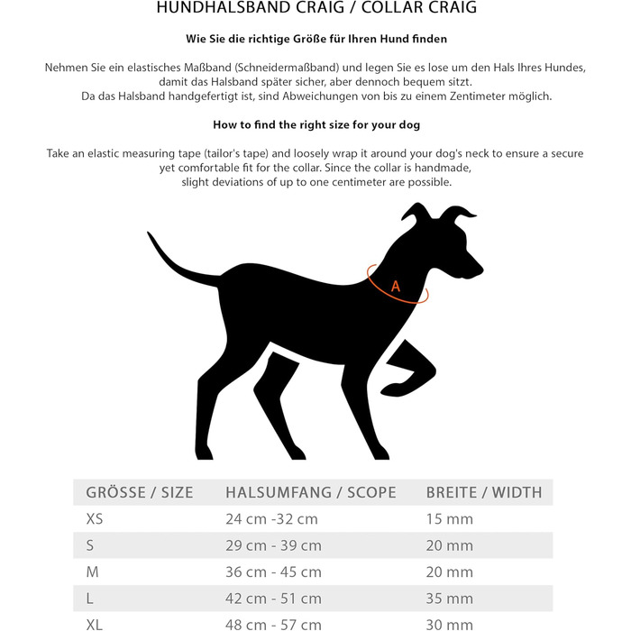 Нашийник для собак Джек Рассел з натуральної шкіри та неопрену – м'який та міцний нашийник для маленьких та великих собак – преміум нашийник Craig (L) L (42.0-51.0 см)